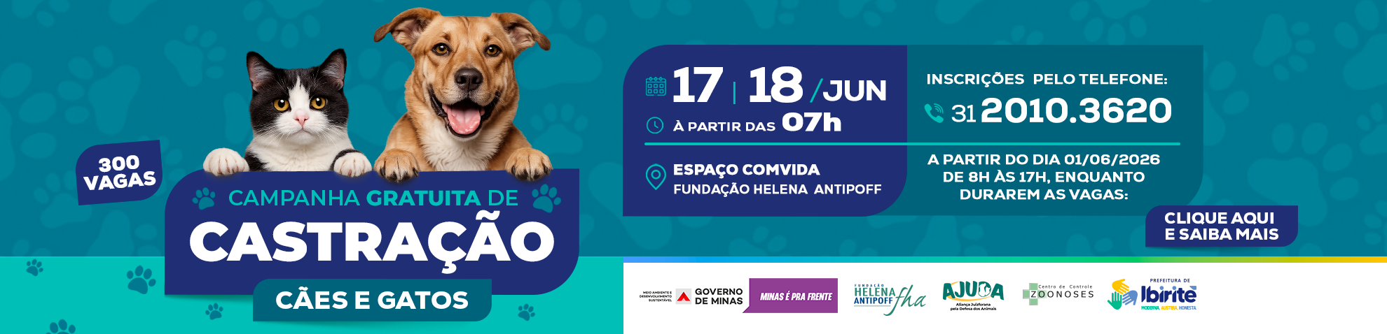 Banner-site_campanha-de-castração